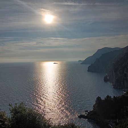 Amalfi Coast, Positano, Sorrento, Capri, Garden, Villa Carcara Colli di Fontanelle 外观 照片