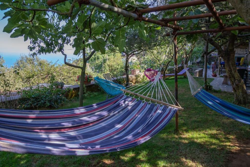Amalfi Coast, Positano, Sorrento, Capri, Garden, Villa Carcara Colli di Fontanelle 外观 照片