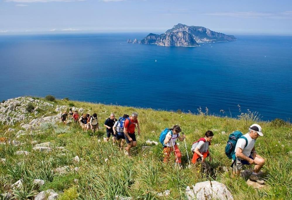 Amalfi Coast, Positano, Sorrento, Capri, Garden, Villa Carcara Colli di Fontanelle 外观 照片