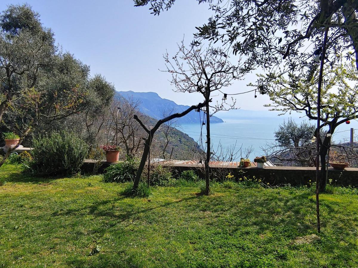 Amalfi Coast, Positano, Sorrento, Capri, Garden, Villa Carcara Colli di Fontanelle 外观 照片