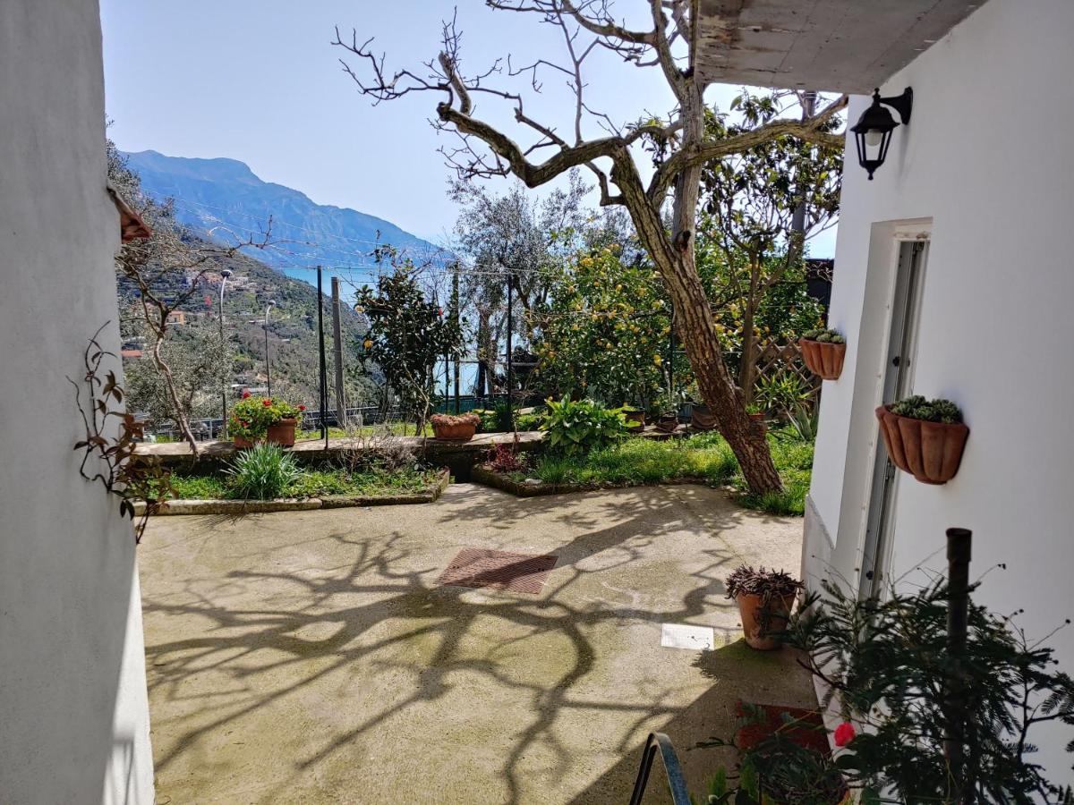 Amalfi Coast, Positano, Sorrento, Capri, Garden, Villa Carcara Colli di Fontanelle 外观 照片