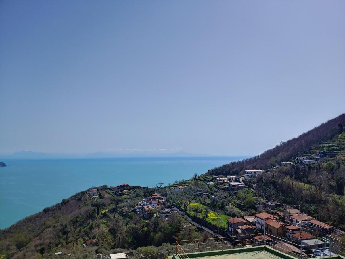 Amalfi Coast, Positano, Sorrento, Capri, Garden, Villa Carcara Colli di Fontanelle 外观 照片