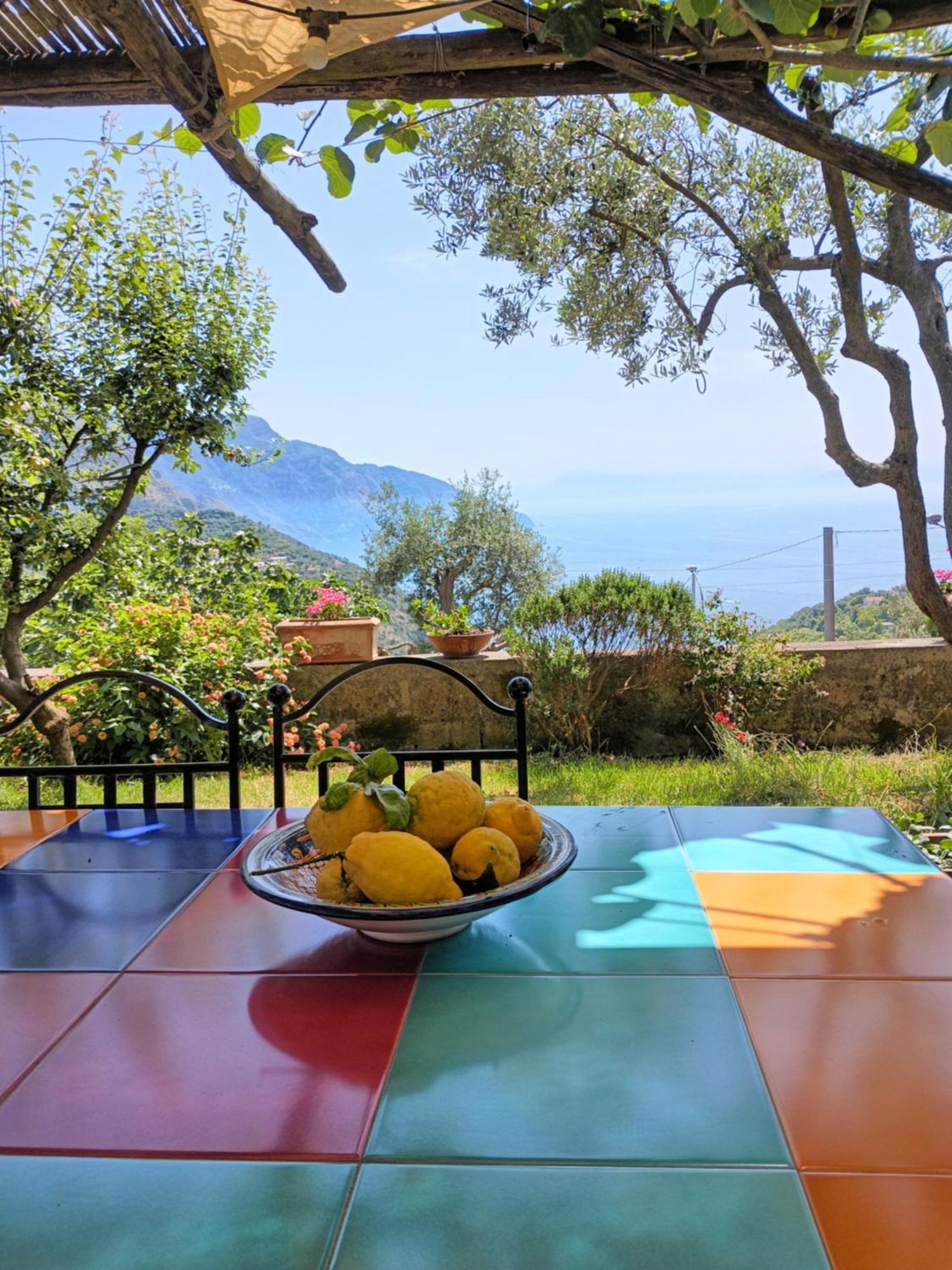 Amalfi Coast, Positano, Sorrento, Capri, Garden, Villa Carcara Colli di Fontanelle 外观 照片