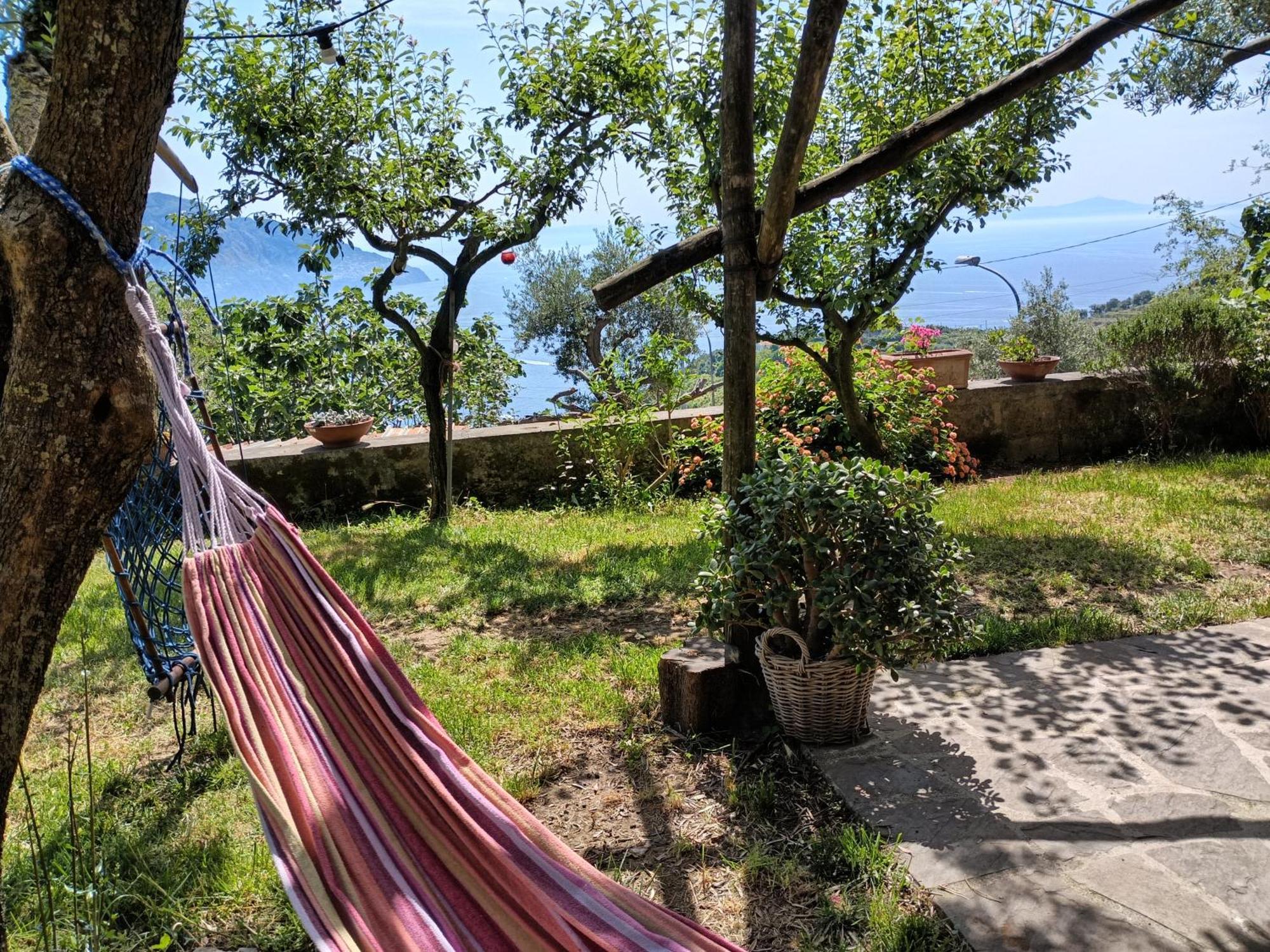 Amalfi Coast, Positano, Sorrento, Capri, Garden, Villa Carcara Colli di Fontanelle 外观 照片